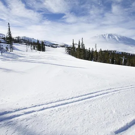 Apartment Gaustablikk