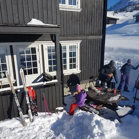 Gaustablikk Apartment *