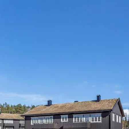 Gaustablikk リューカン